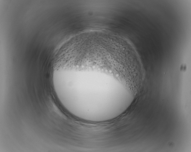X0000111510020200908251124