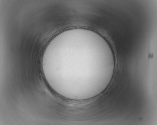 X0000111510021200908251124