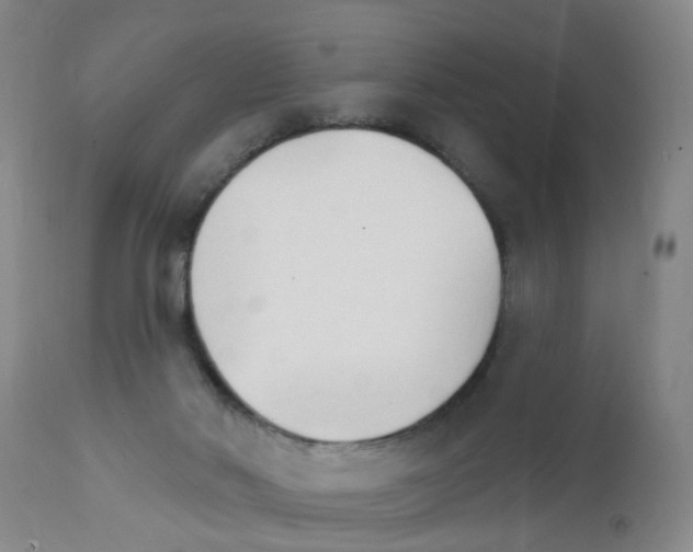 X0000111510022200908251124