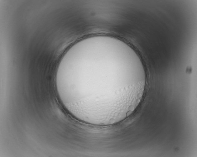X0000111510024200908251123