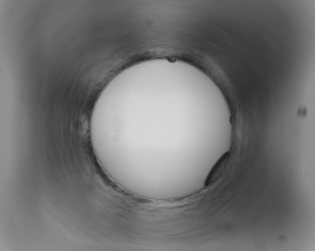 X0000111510025200908251123