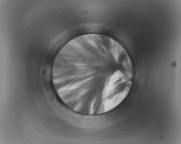 X0000111510026200908251123