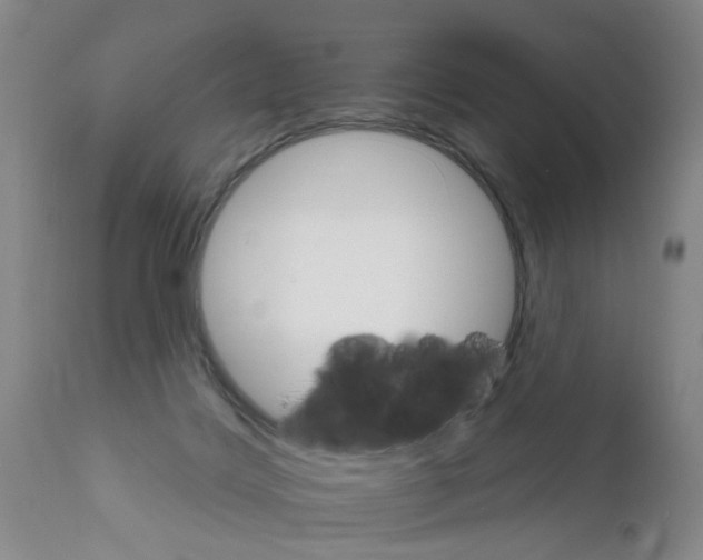 X0000111510028200908251123