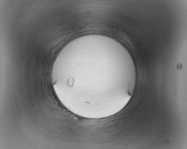 X0000111510029200908251123