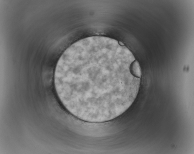 X0000111510030200908251123