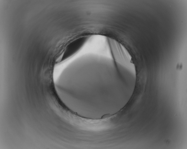 X0000111510031200908251123