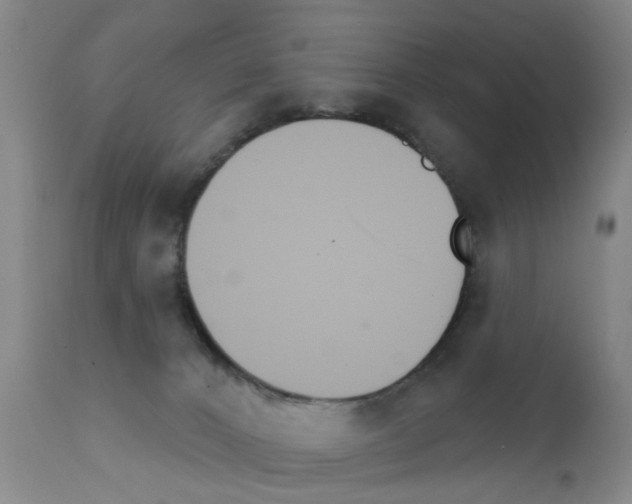 X0000111510032200908251123