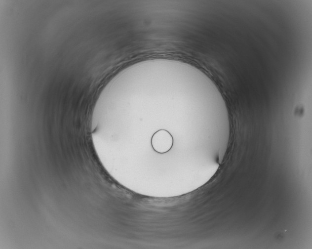 X0000111510033200908251123