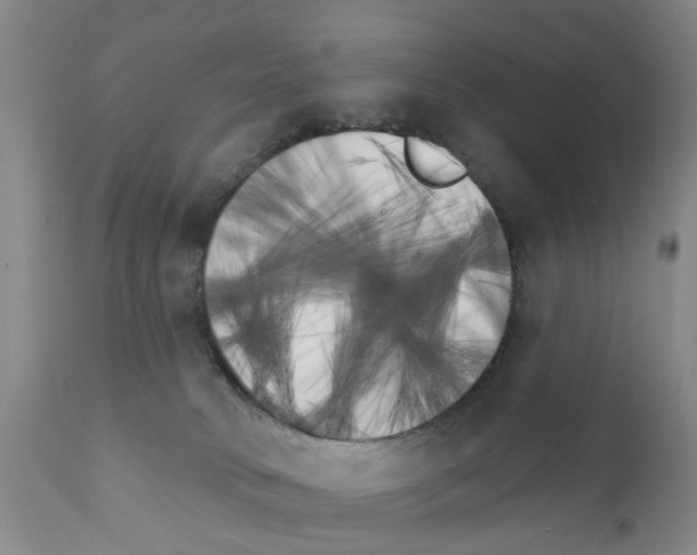 X0000111510034200908251123