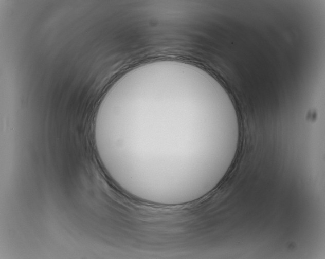 X0000111510036200908251123