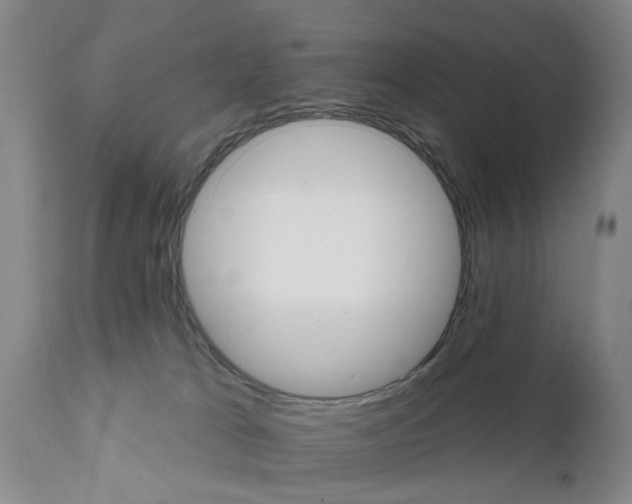 X0000111510037200908251123