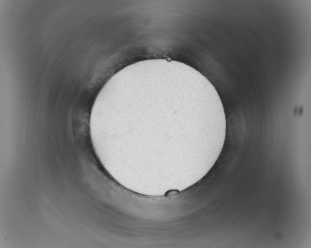X0000111510038200908251123