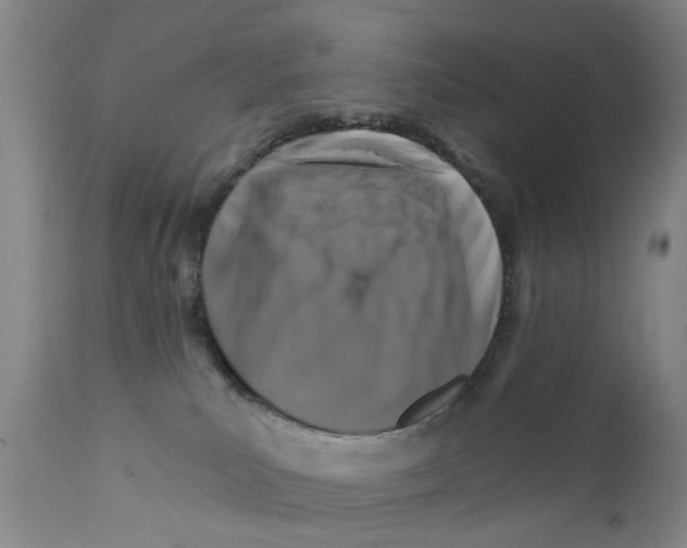 X0000111510039200908251123
