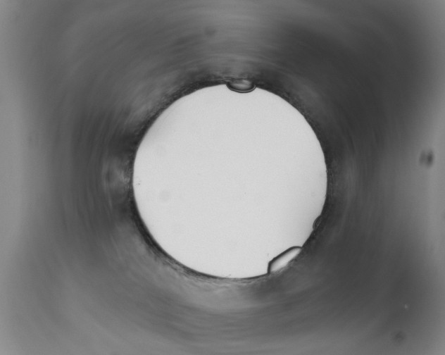 X0000111510040200908251123