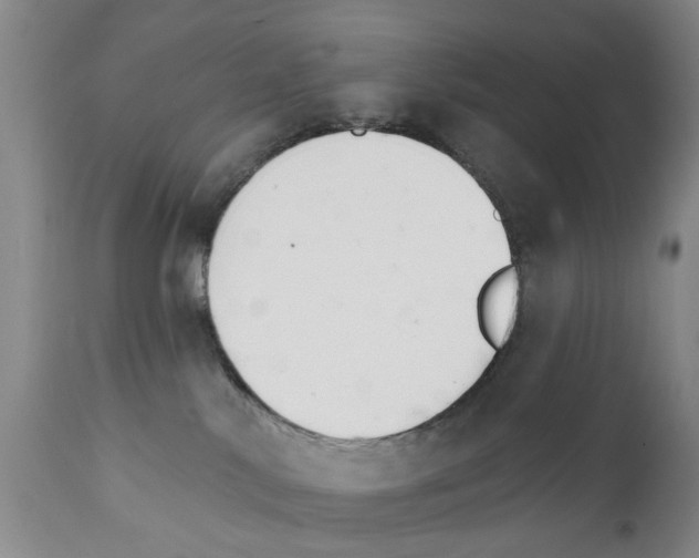 X0000111510042200908251123