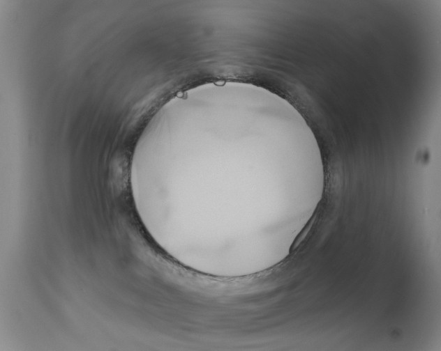 X0000111510043200908251123