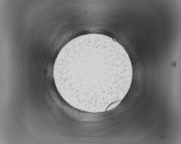 X0000111510044200908251123