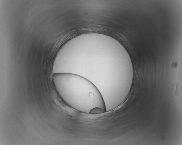 X0000111510045200908251123