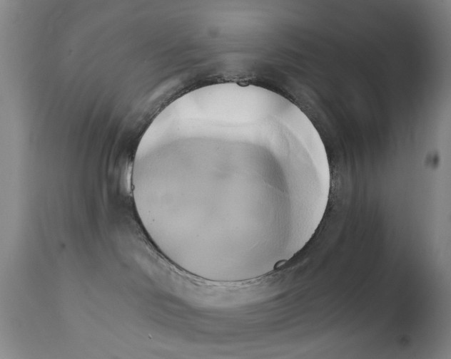X0000111510046200908251123