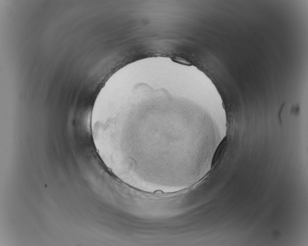 X0000111510047200908251123