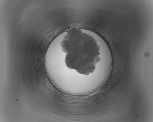 X0000111510048200908251123