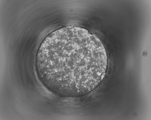X0000111510049200908251122