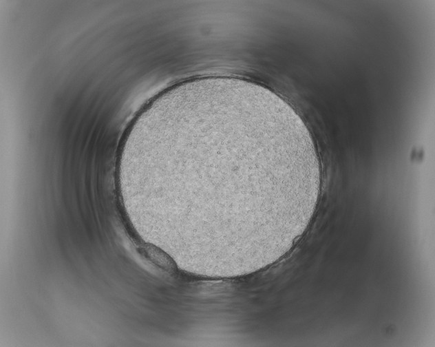 X0000111510050200908251122