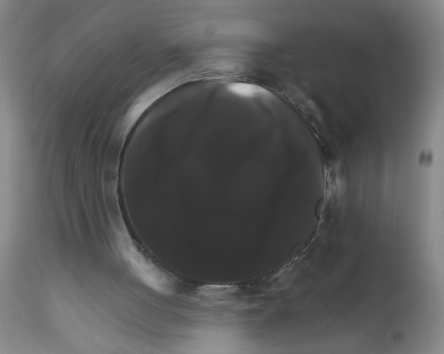 X0000111510051200908251122