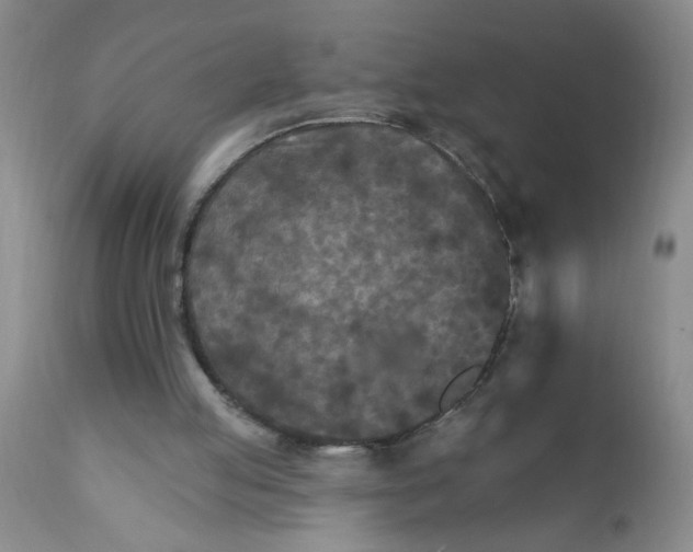 X0000111510053200908251123