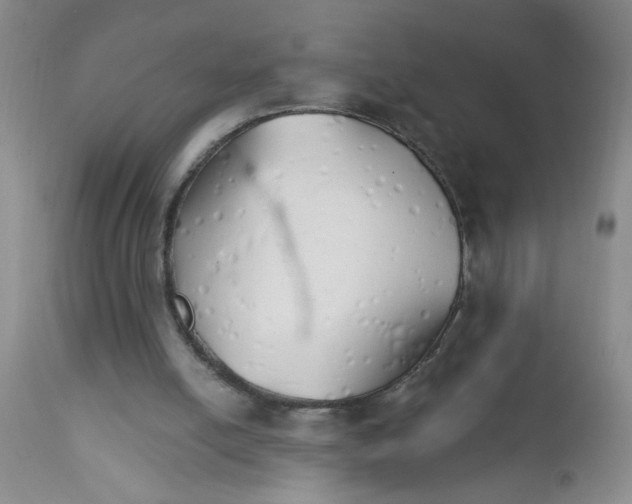 X0000111510054200908251123