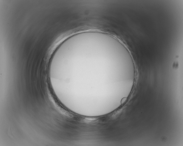 X0000111510055200908251123