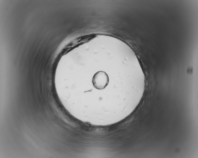 X0000111510056200908251123