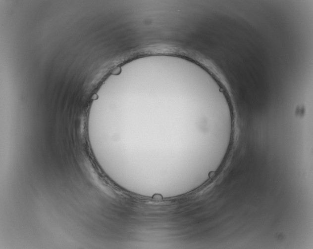 X0000111510057200908251123