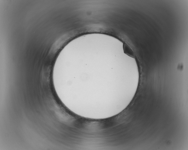 X0000111510058200908251123
