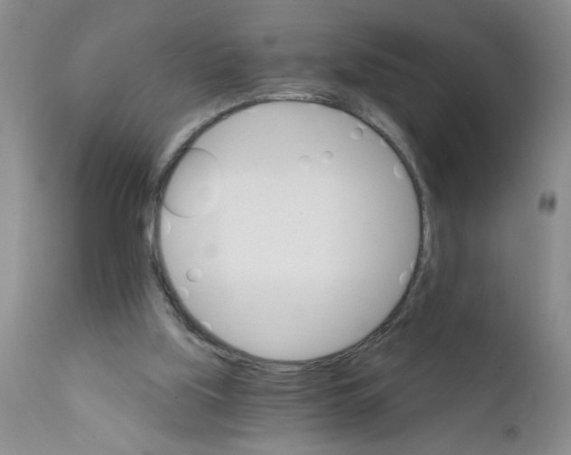 X0000111510059200908251123