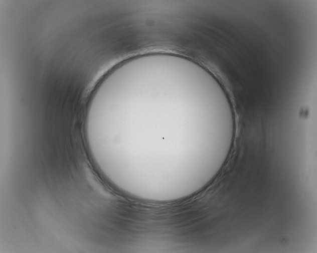 X0000111510060200908251123