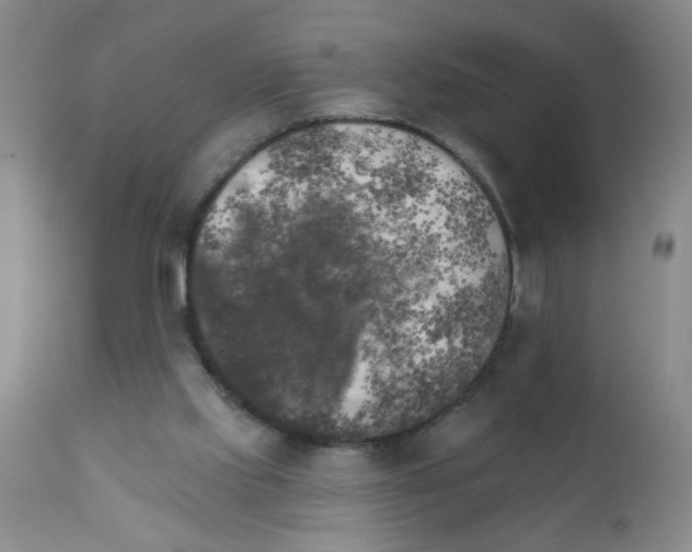 X0000111510061200908251123