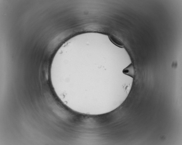 X0000111510062200908251123