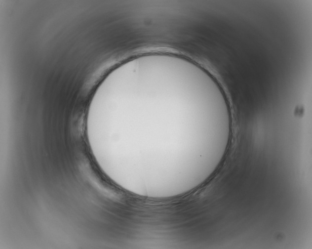 X0000111510063200908251123