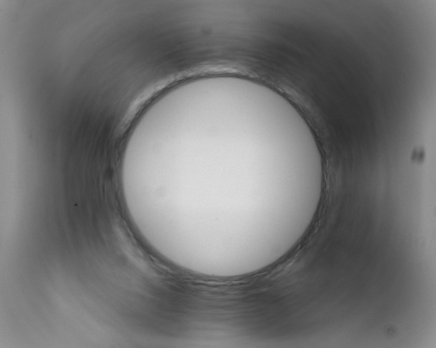 X0000111510064200908251123