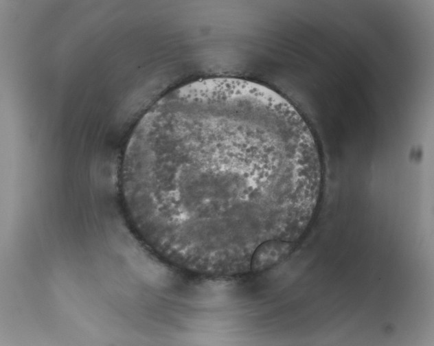 X0000111510065200908251123