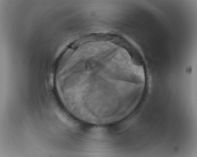 X0000111510067200908251123