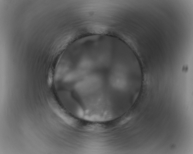 X0000111510069200908251123
