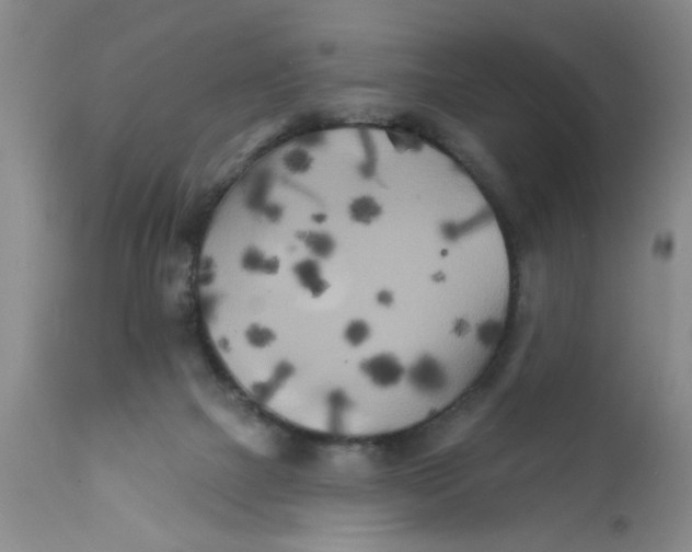 X0000111510073200908251123