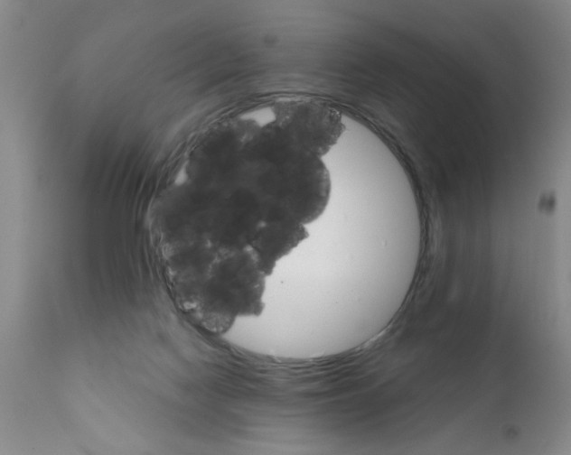X0000111510074200908251123
