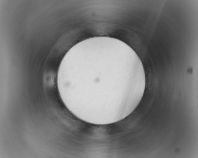 X0000111510075200908251123