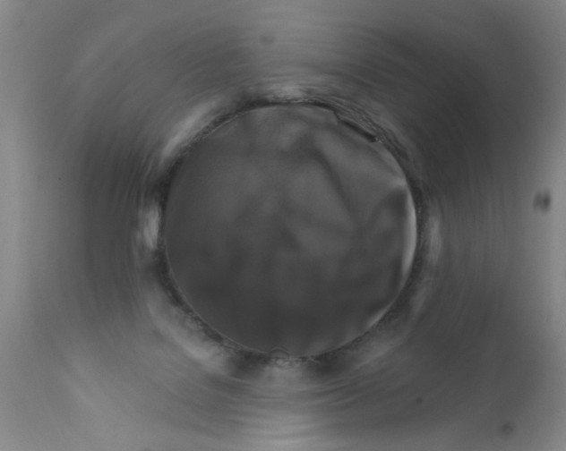 X0000111510076200908251123