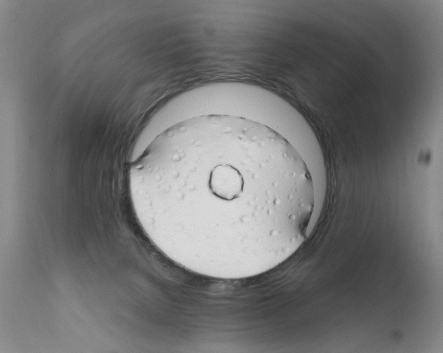 X0000111510080200908251123