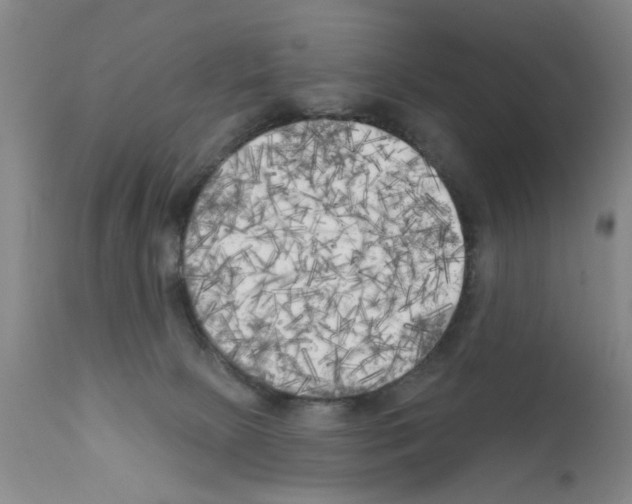 X0000111510081200908251123