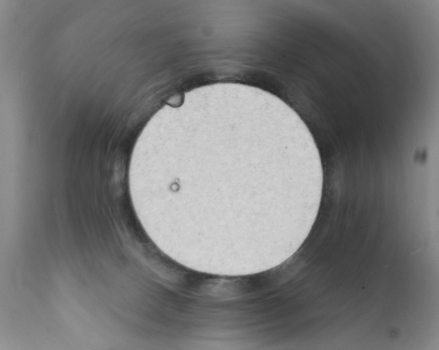X0000111510082200908251123